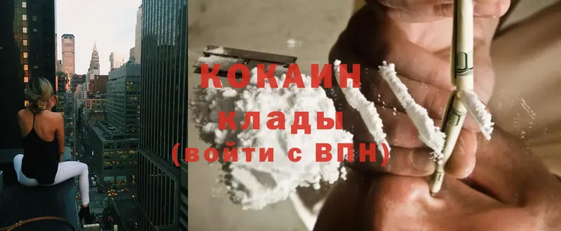 цена   Безенчук  COCAIN 97% 