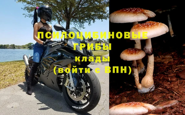 apvp Новодвинск