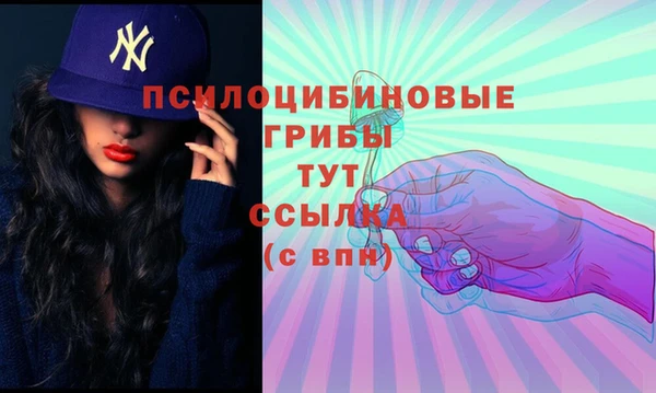 apvp Новодвинск