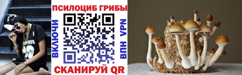 цены наркотик  Безенчук  Псилоцибиновые грибы ЛСД 